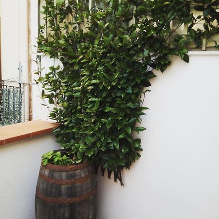 Il Terrazzino Sul Kemonia Palermo Exterior foto