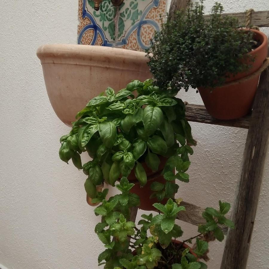 Il Terrazzino Sul Kemonia Palermo Exterior foto